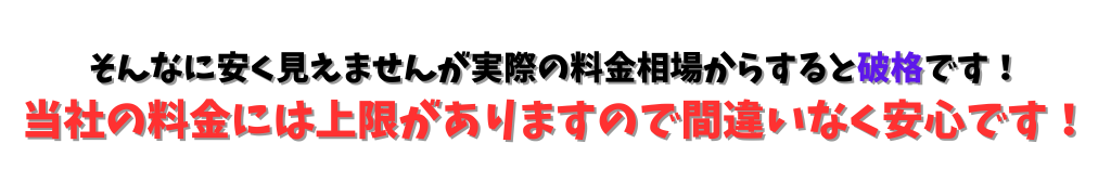 安心料金